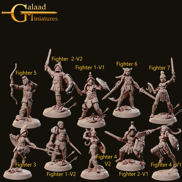 Colosseum Fighter Bundle